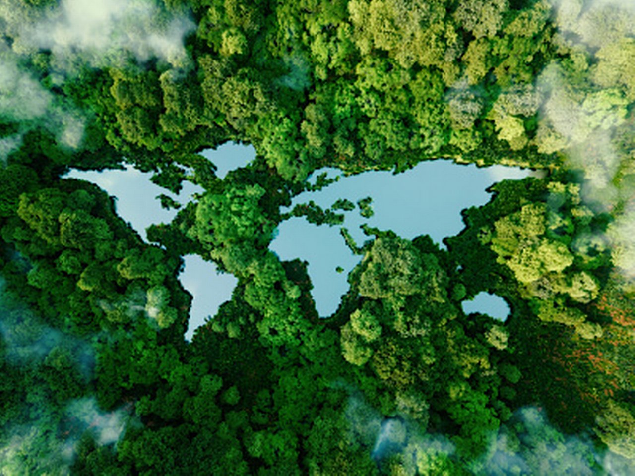 sub-tropical mangrove estatuary from above