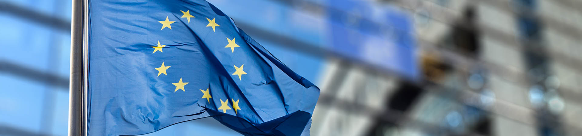European Union flags in front of the blurred European Parliament in Brussels, Belgium